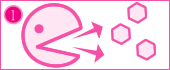 バクテリア