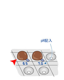 使用方法4